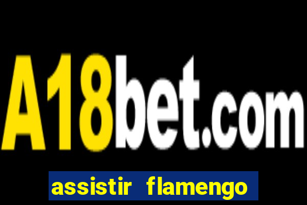 assistir flamengo futebol play hd